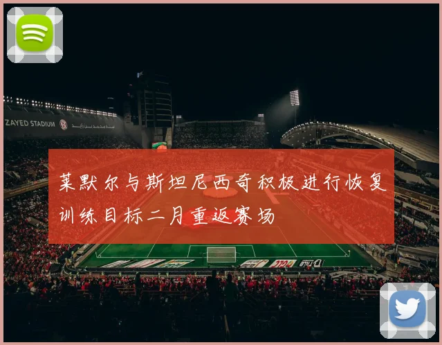 莱默尔与斯坦尼西奇积极进行恢复训练目标二月重返赛场